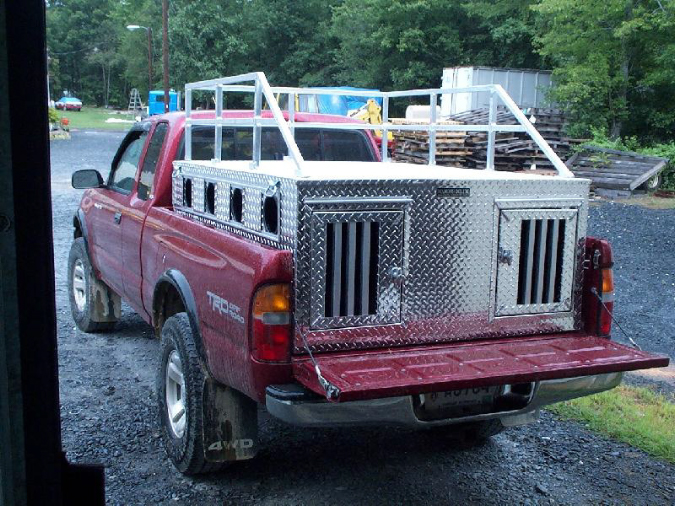 Bear hunting dog boxes online