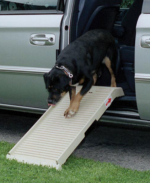 dog coming down petstep ramp