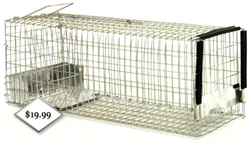 live box trap 101