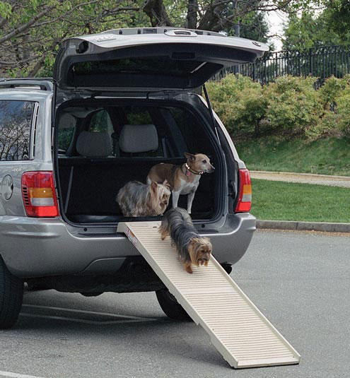 dogs using petstep ramp